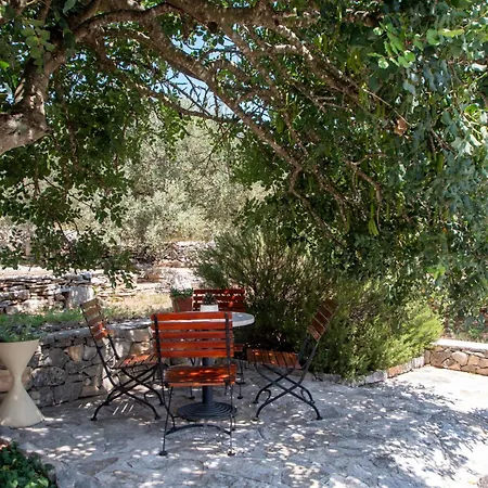 House Roza - Happy Casa vacanze